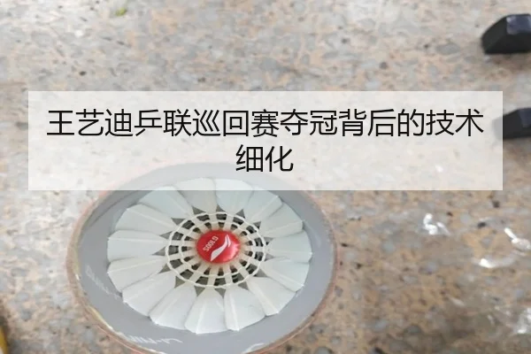 王艺迪乒联巡回赛夺冠背后的技术细化